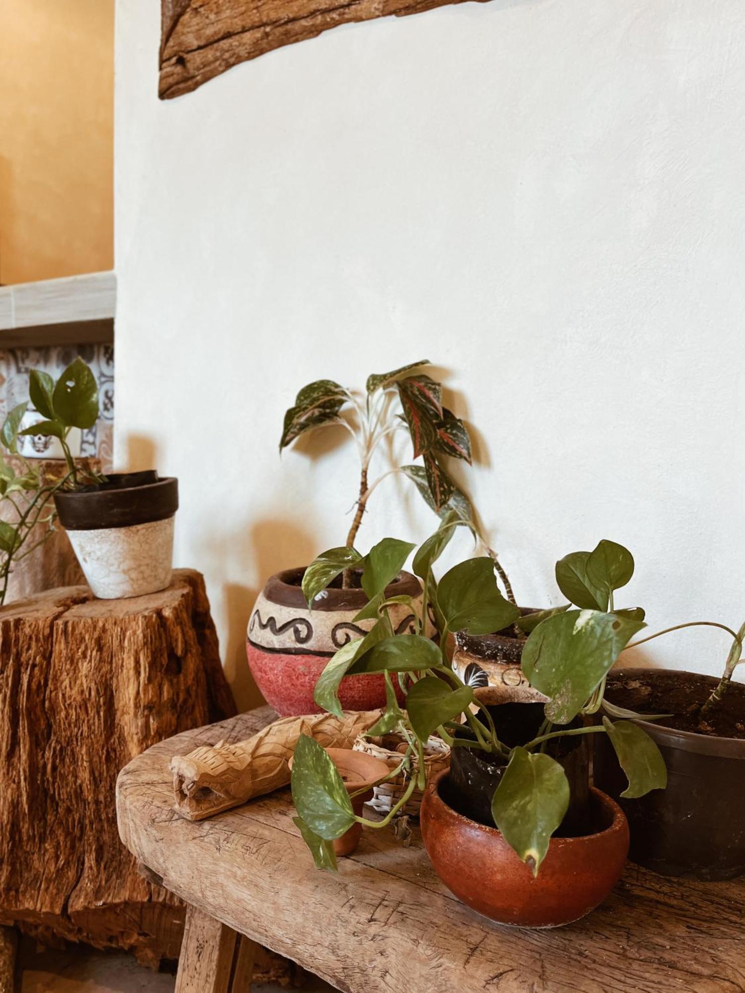 Sisal Loft Living Apartment Valladolid  Bagian luar foto